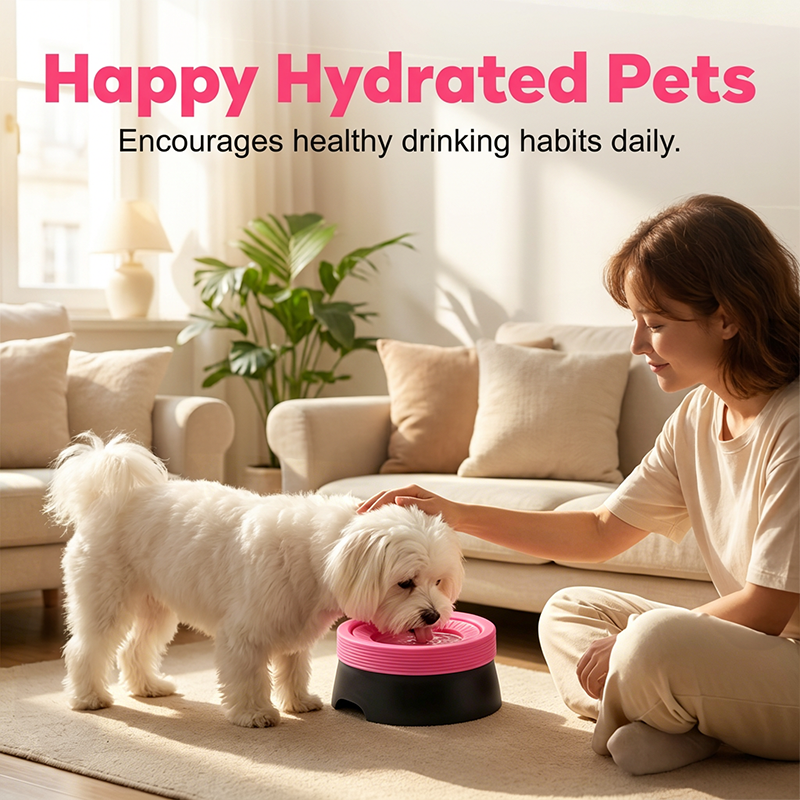 🔥Limited Time Extra Discounts+50%OFF!🔥No-Spill Floating Pet Water Bowl🔥2026 HOT SOLD! & 5,000+ sold!