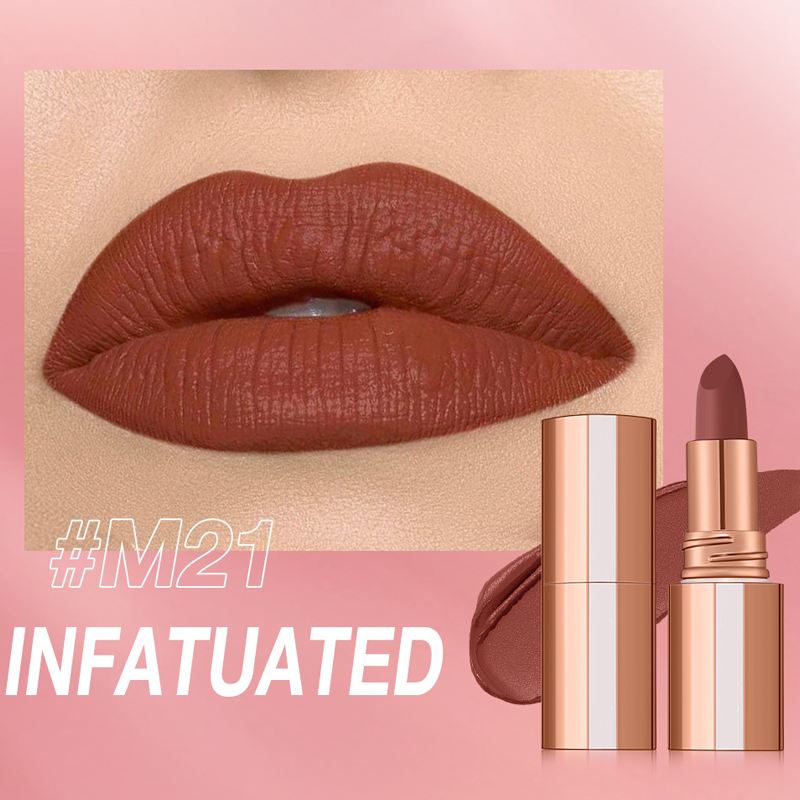 💞Matte Finish Waterproof Long Wear Silky Lipstick