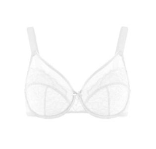 Enchante Floral Lace Plus Size Underwire Unlined Unpadded Minimizer Full Coverage Bra Women's Wear Comfortable Breathable Mesh Cup