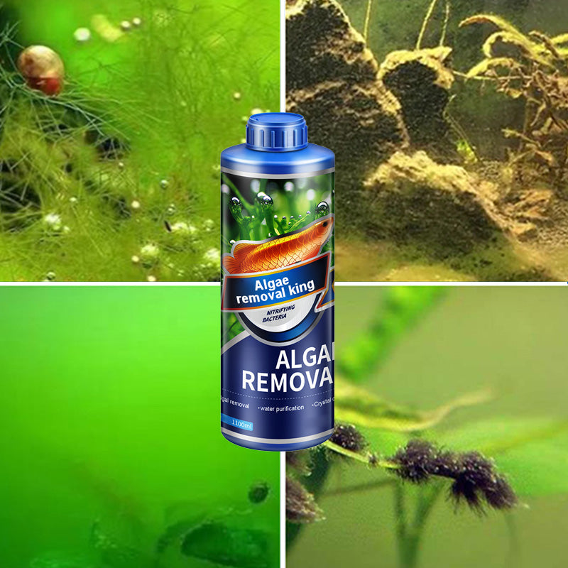 🔥Algae King🔥Crazy Aquatic Weed Algae Remover