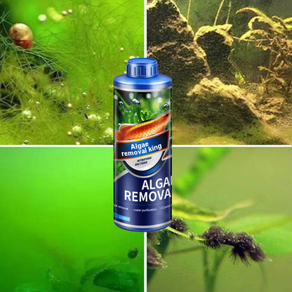 🔥Algae King🔥Crazy Aquatic Weed Algae Remover