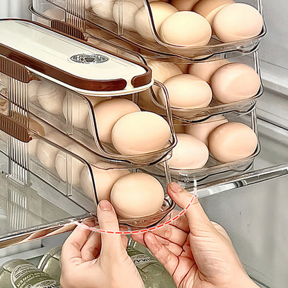 🔥Limited Time 50% OFF🔥Clear Kitchen Egg Organizer for Refrigerator Side Door