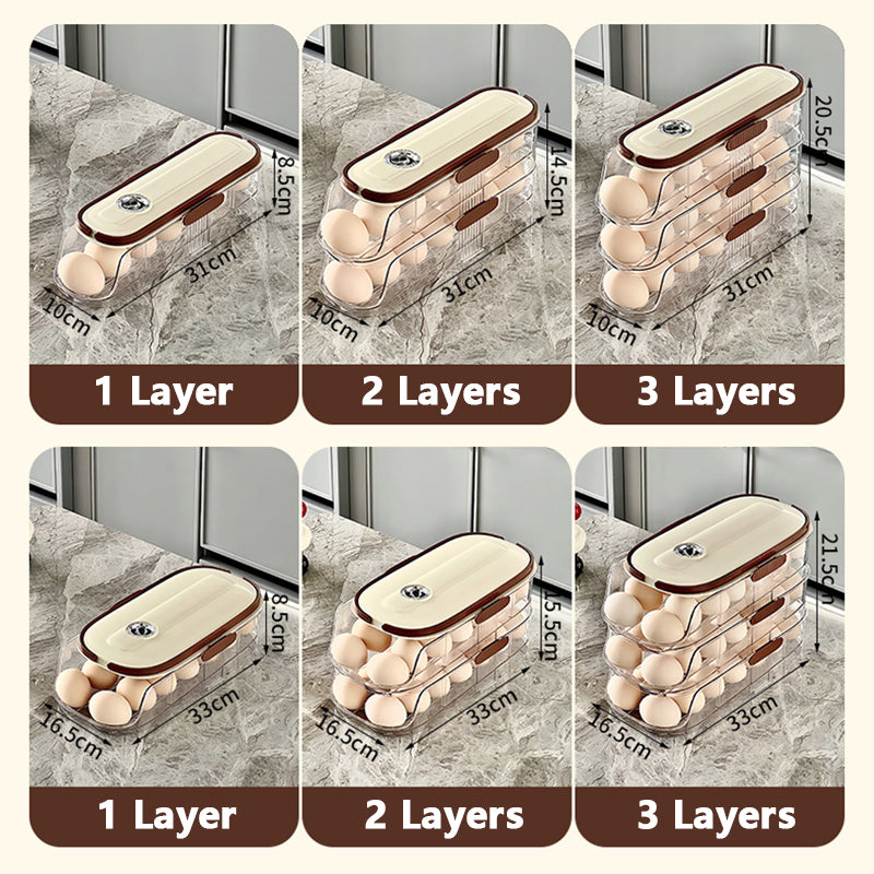 🔥Limited Time 50% OFF🔥Clear Kitchen Egg Organizer for Refrigerator Side Door