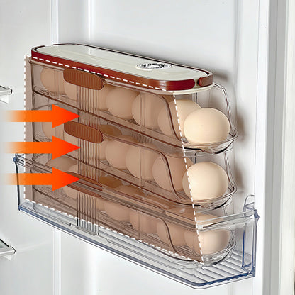 🔥Limited Time 50% OFF🔥Clear Kitchen Egg Organizer for Refrigerator Side Door