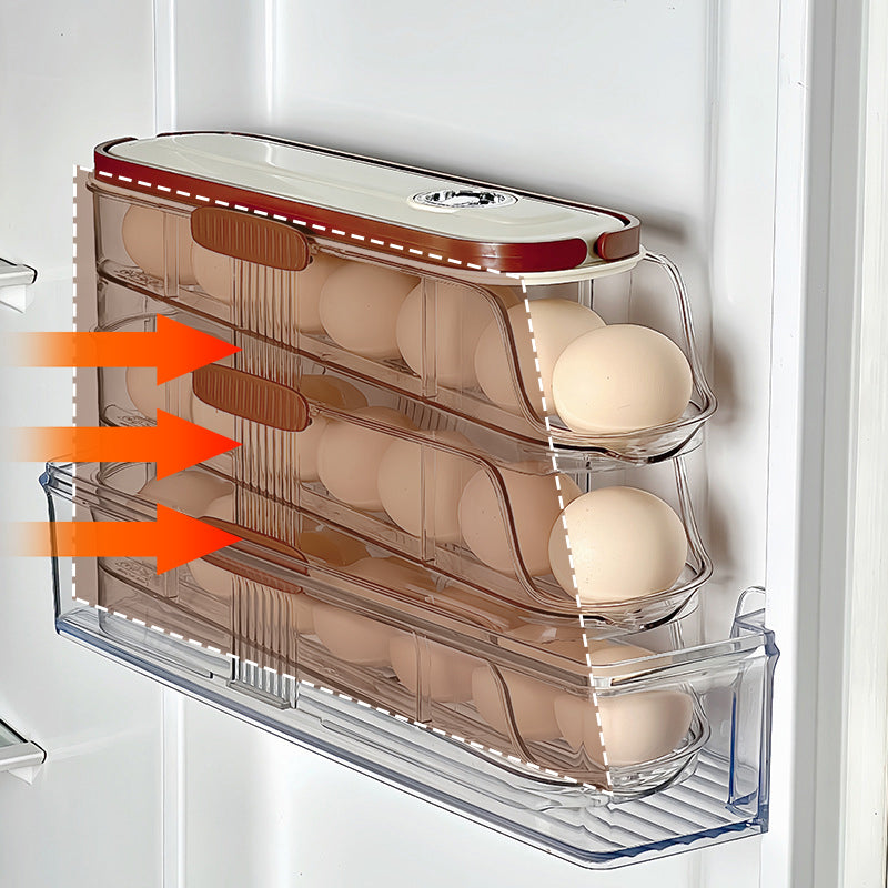 🔥Limited Time 50% OFF🔥Clear Kitchen Egg Organizer for Refrigerator Side Door
