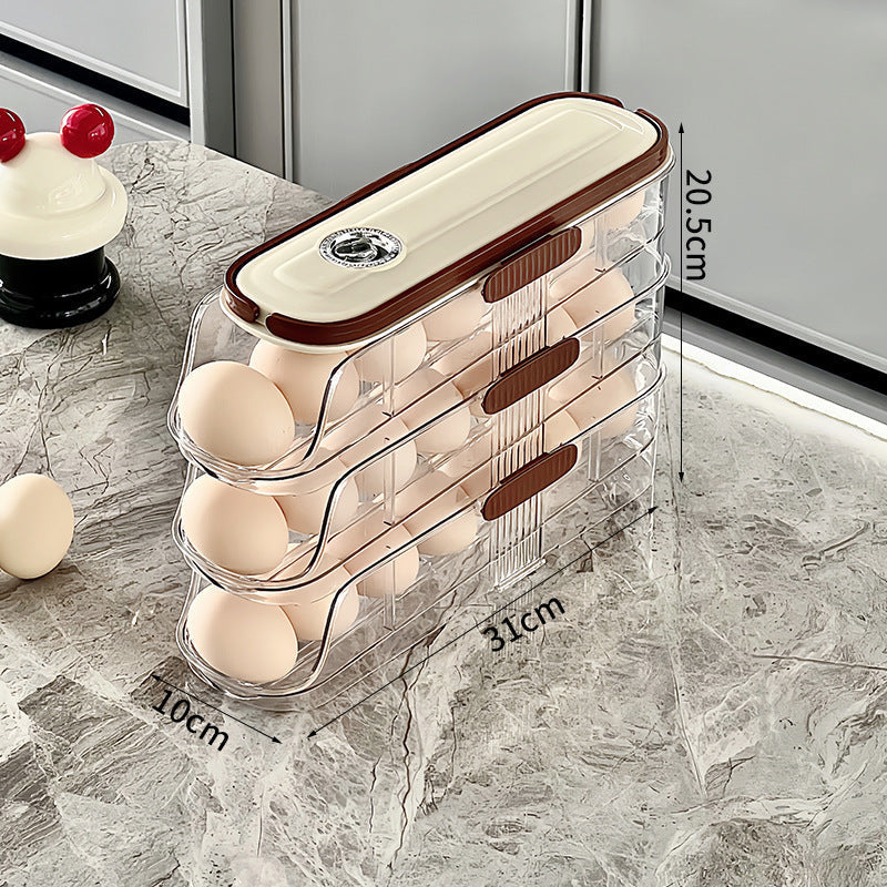 🔥Limited Time 50% OFF🔥Clear Kitchen Egg Organizer for Refrigerator Side Door