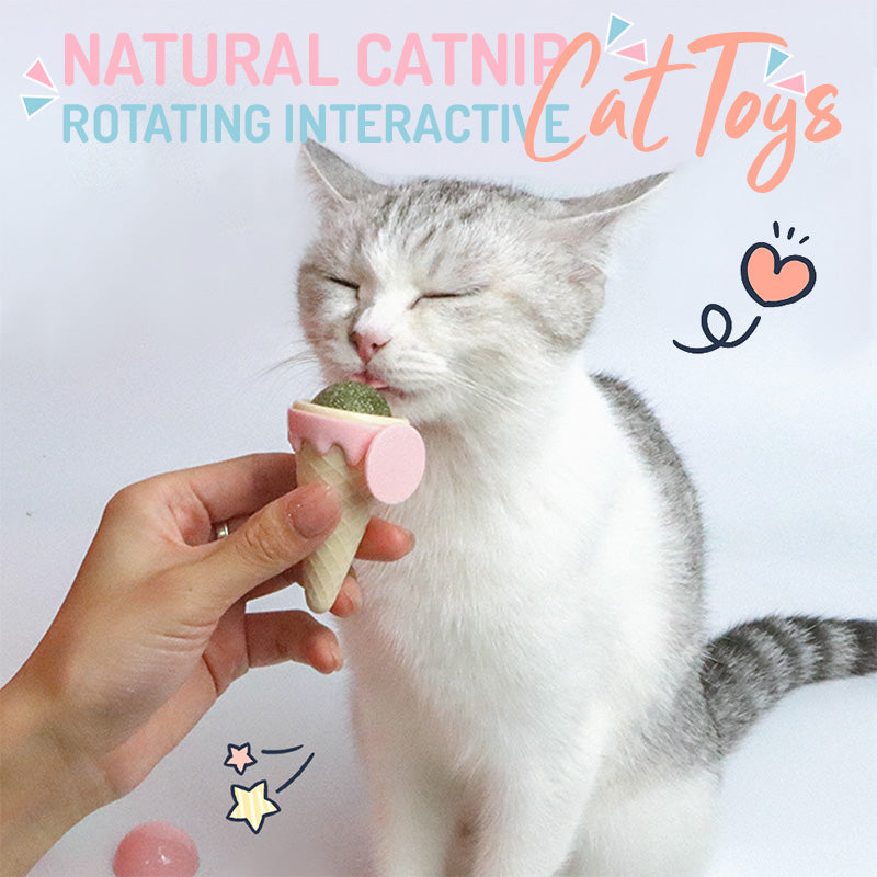 🎅Early Xmas Sales - 50% OFF🎄Icecream Catnip Ball Interactive Cat Toys