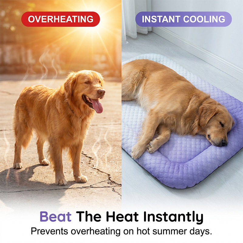 ❄️Cooling Gel Mat for Pets – No refrigeration needed, instant heat relief. Breathable, non‑toxic. Helps pets sleep cool all summer!